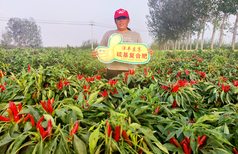 莳植户：田美霞_副本.jpg